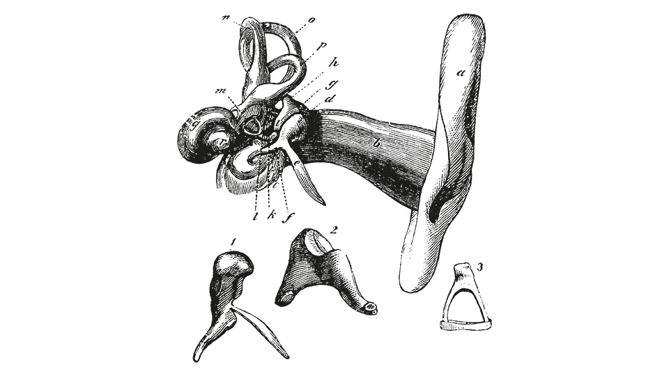 Illustration for the radio theatre play En kung lyssnar